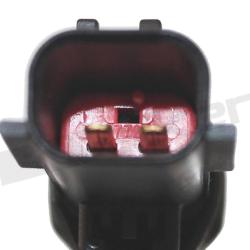 WALKER PRODUCTS 10031031