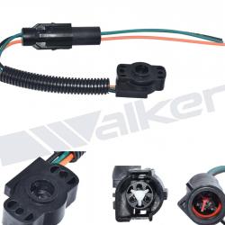 WALKER PRODUCTS 20091015