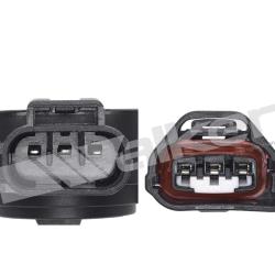 WALKER PRODUCTS 20091225