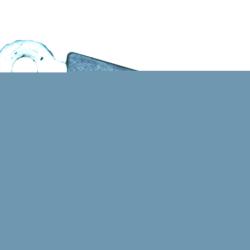 WALKER PRODUCTS 2452171