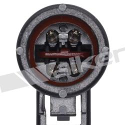 WALKER PRODUCTS 250241127