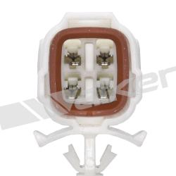 WALKER PRODUCTS 25024281