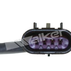 WALKER PRODUCTS 35034318