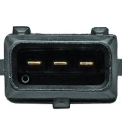 WAI GLOBAL MAF10176T