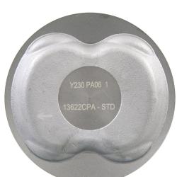 SEALED POWER 13622CPA