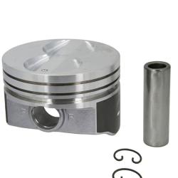 SEALED POWER H345DCP