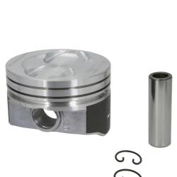 SEALED POWER H423DCP