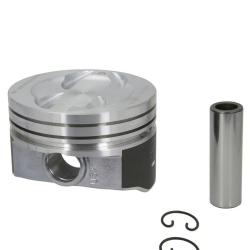 SEALED POWER H423DCP