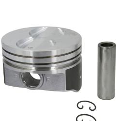 SEALED POWER H597DCP