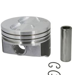 SEALED POWER H597DCP