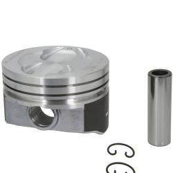 SEALED POWER H815DCP