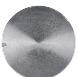 SEALED POWER 1009P