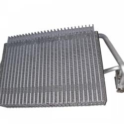 REIN ACK0081R