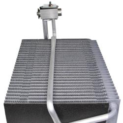 REIN ACK0081R