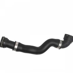 REIN CHR0003P