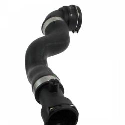REIN CHR0003P