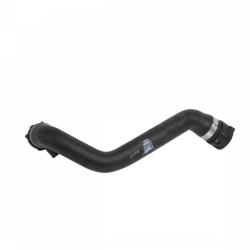 REIN CHR0005P