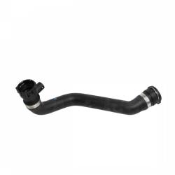 REIN CHR0005P