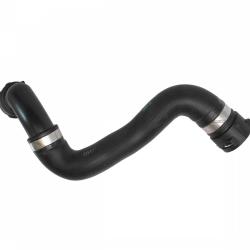 REIN CHR0198P