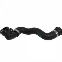 REIN CHR0198P