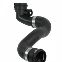 REIN CHR0198P