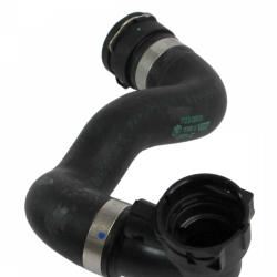 REIN CHR0198P