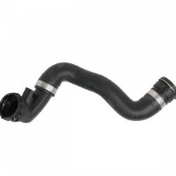 REIN CHR0198P