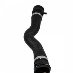 REIN CHR0528