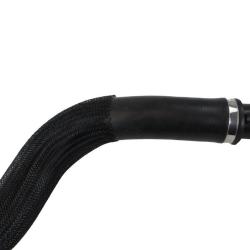 REIN CHR0798