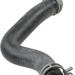 REIN CHR0822