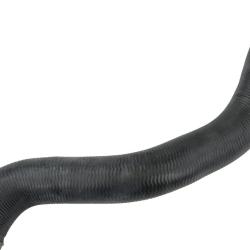 REIN CHR0970