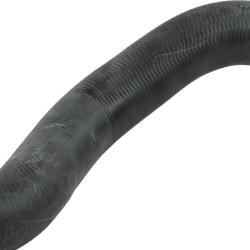 REIN CHR0970