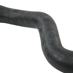 REIN CHR0970