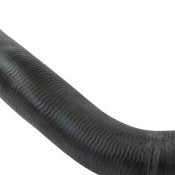 REIN CHR0970