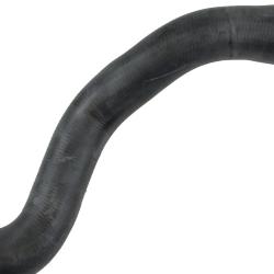 REIN CHR0970