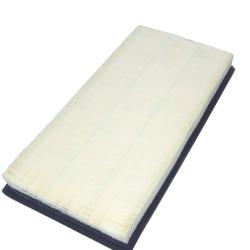 CHAMPION FILTER CAP3914