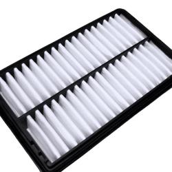 CHAMPION FILTER CAP8133