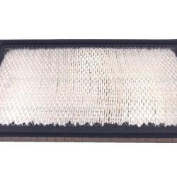 CHAMPION FILTER CAP8221