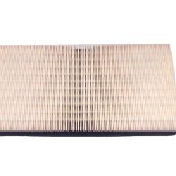 CHAMPION FILTER CAP8602