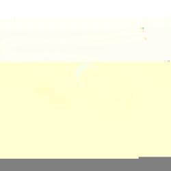 WELLS VEHICLE ELECTRONICS 1P1087