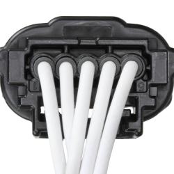 WELLS 1P2555