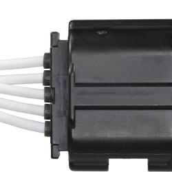 WELLS 1P2555