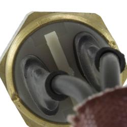 WELLS 1S1017