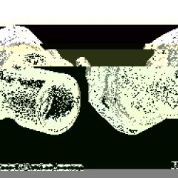 WELLS VEHICLE ELECTRONICS 1S10841