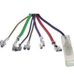 WELLS 1S5950