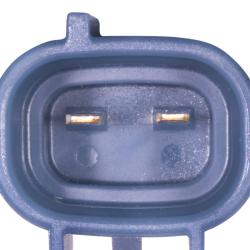 WELLS 2M1250