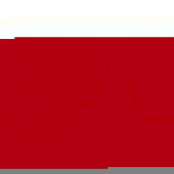 WELLS VEHICLE ELECTRONICS 2N1210