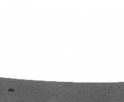 HUSKY SPRING 4312632