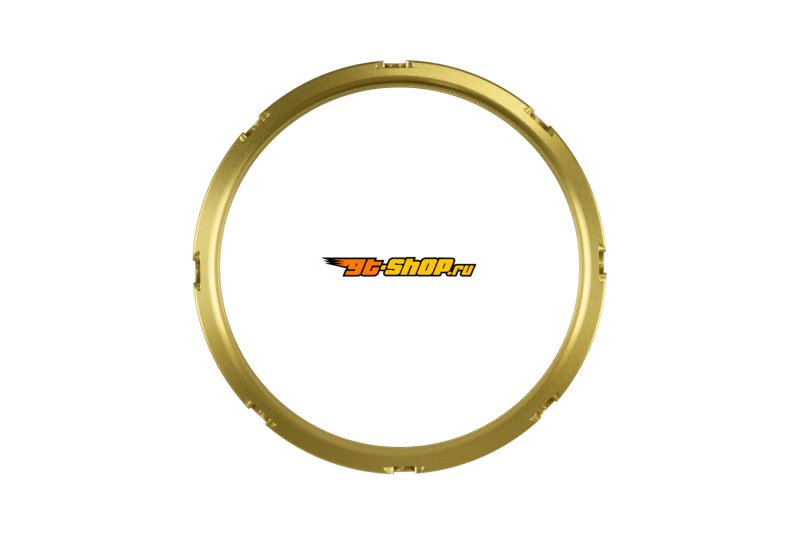 Turbosmart TS-0550-3160 TS Wastegate Accessories