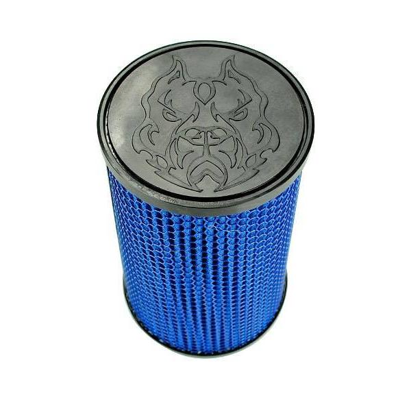 Sinister Diesel SD-CAI-FILTER
